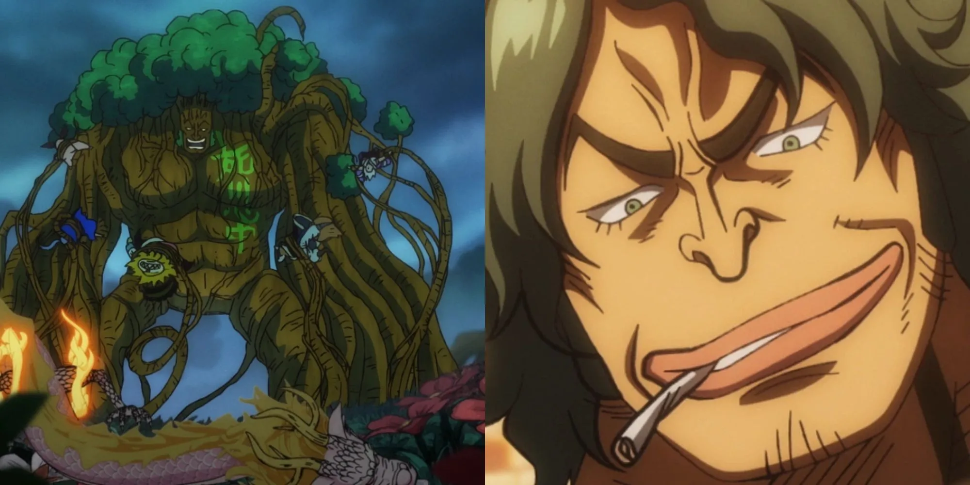 Aramaki Ryokugyu, Đô đốc Hải Quân One Piece với năng lực trái Mori Mori no Mi