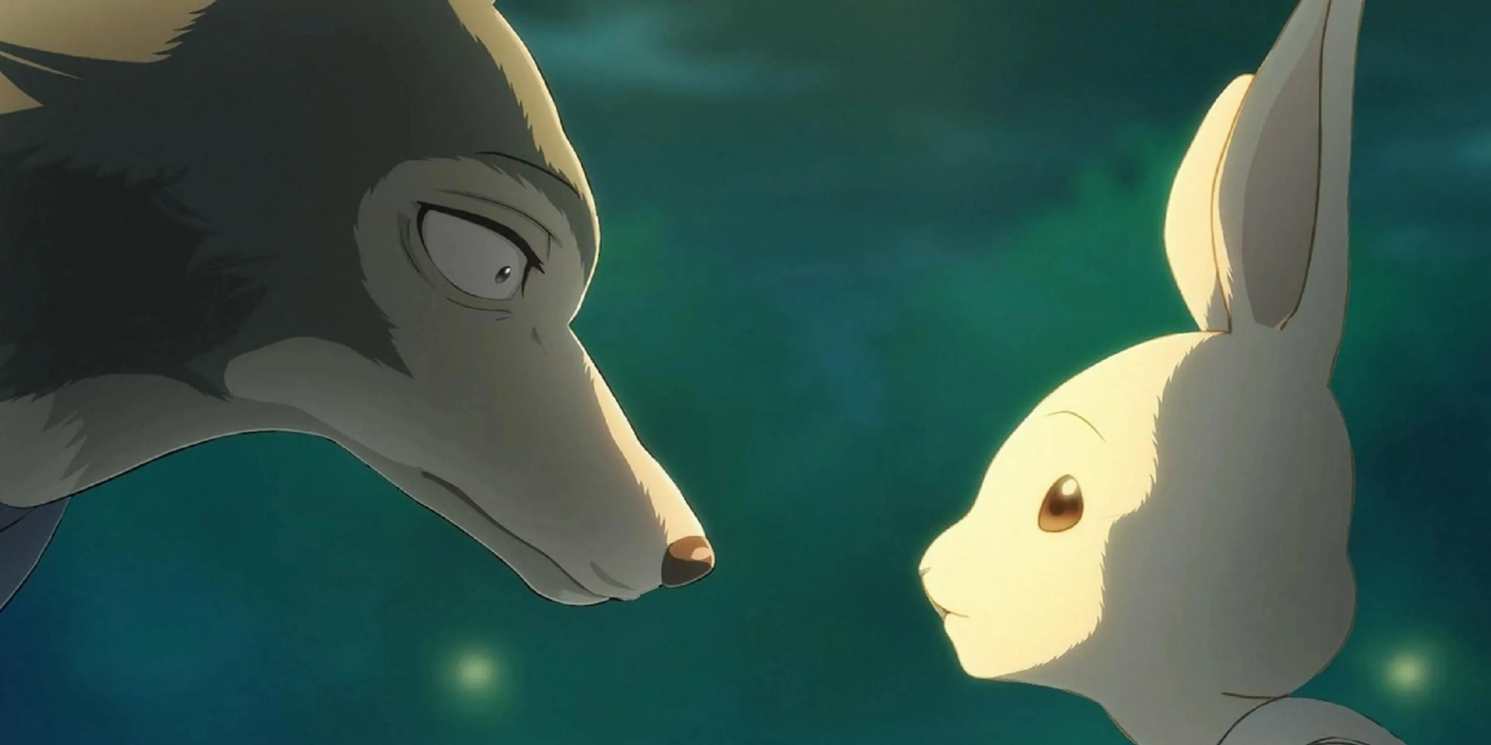 Các nhân vật chính Legoshi và Haru trong anime Beastars