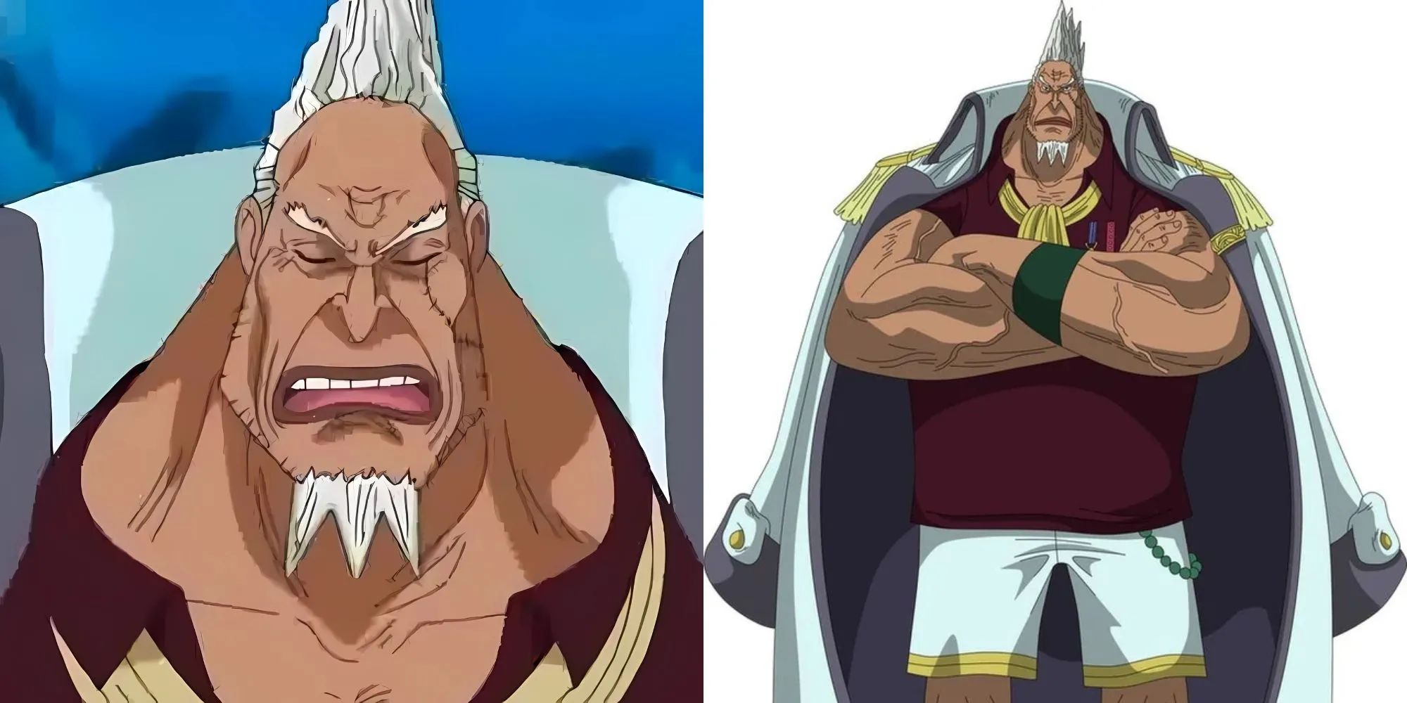 Kong, Tổng tư lệnh Hải Quân One Piece, cấp trên của các Đô đốc