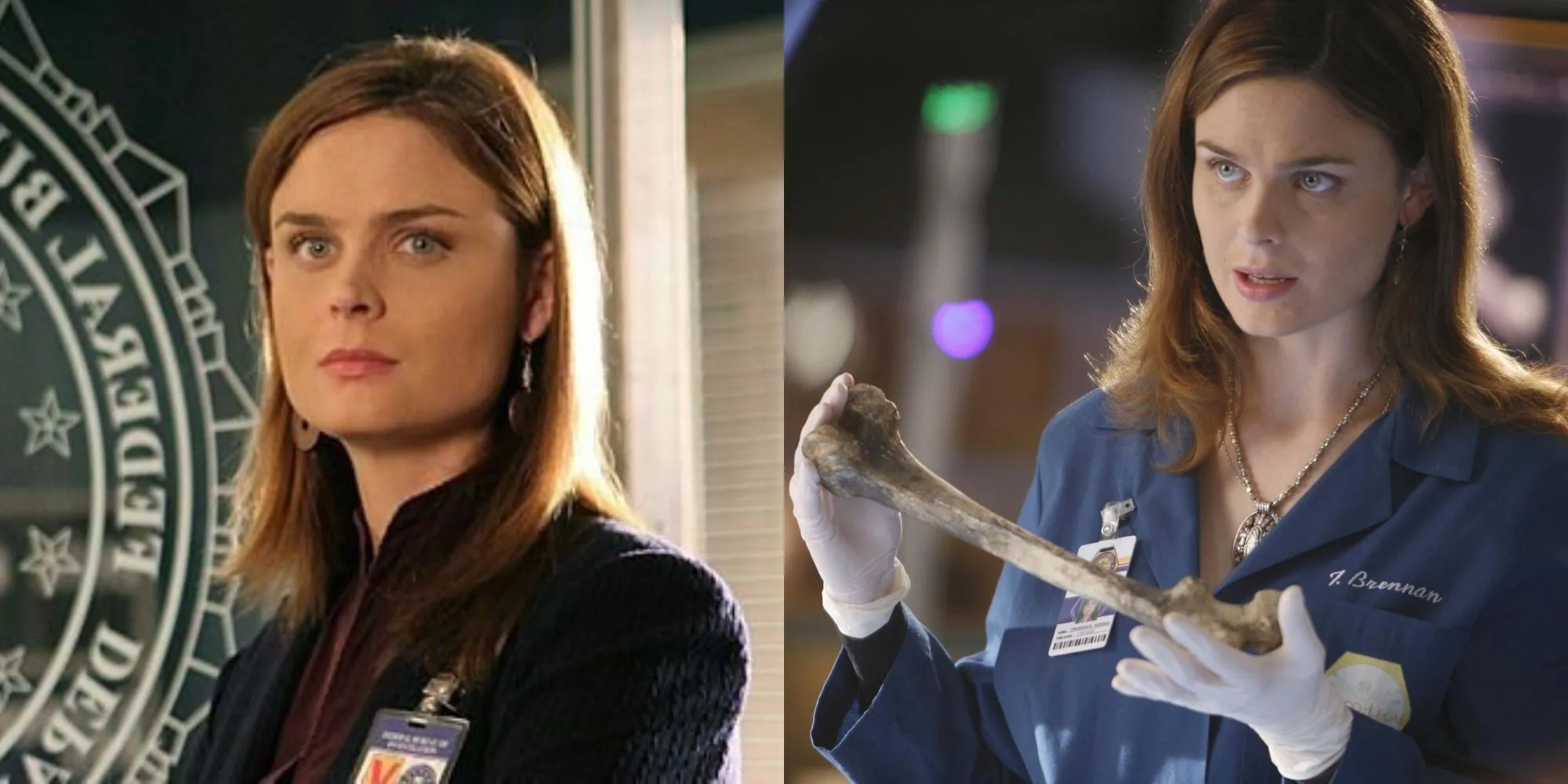 Nhà nhân chủng học pháp y Tiến sĩ Temperance Brennan trong series Bones.