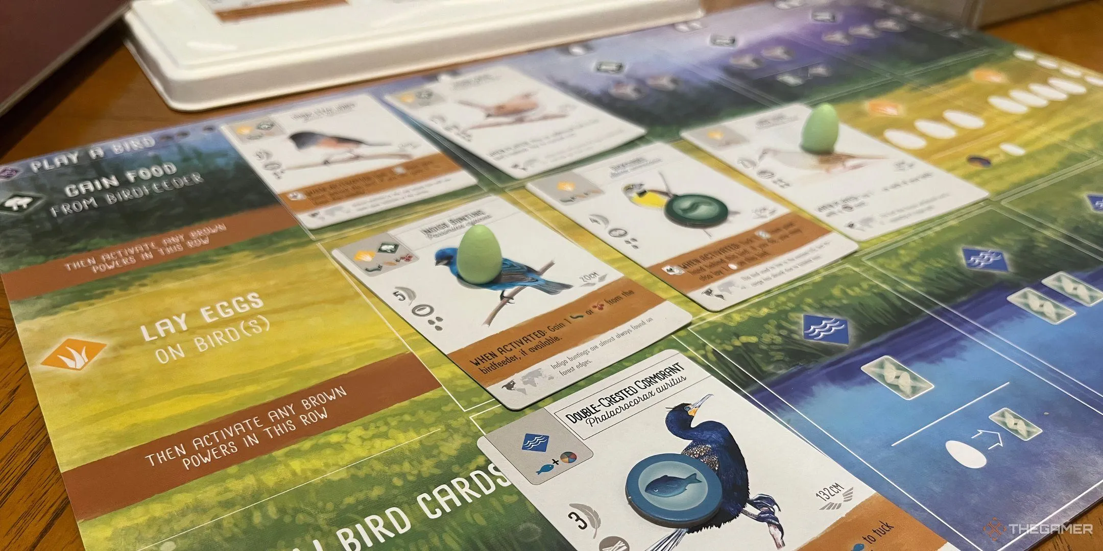 Bàn chơi của người chơi trong board game Wingspan, với các khu vực đặt chim.