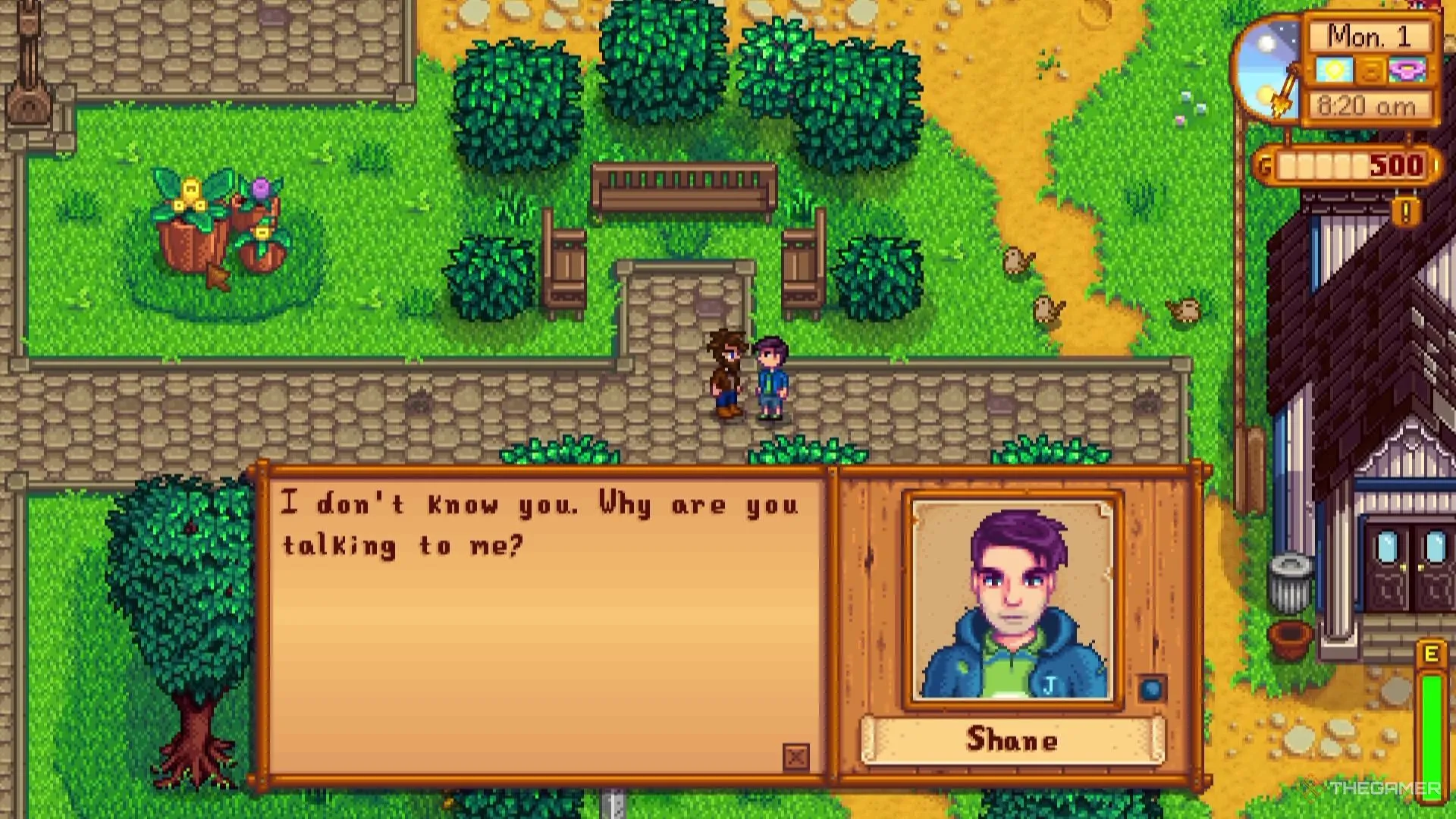 Game thủ tặng bia cho Shane để tăng tình cảm trong Stardew Valley